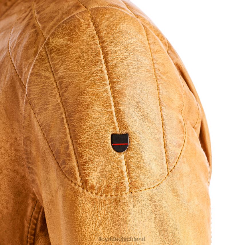 Kleidung LLOYD Emiliano Gelb Männer PV6Z0629