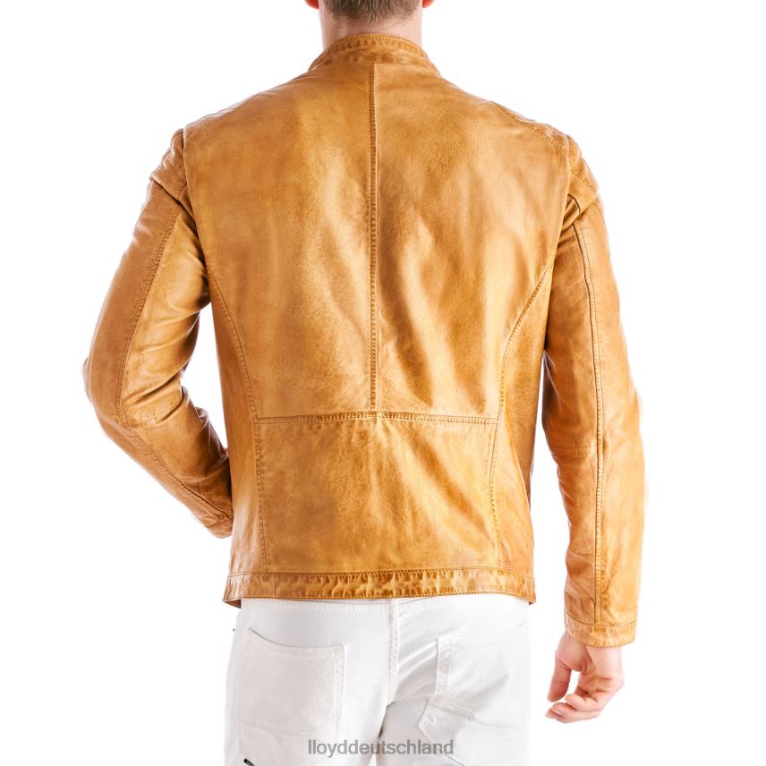 Kleidung LLOYD Emiliano Gelb Männer PV6Z0629