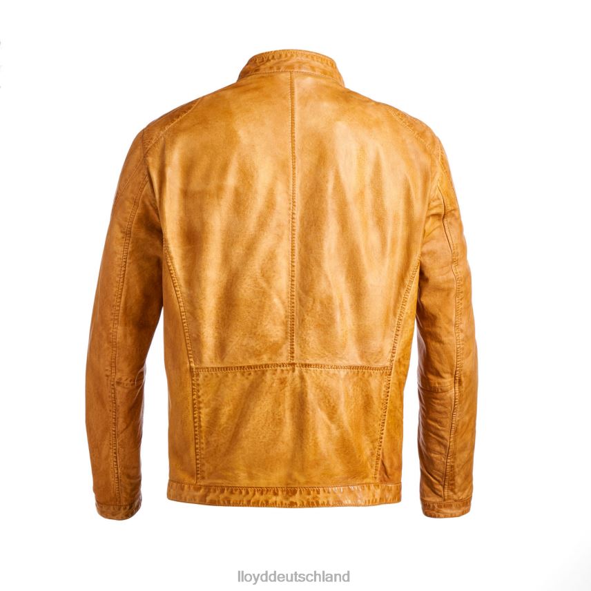 Kleidung LLOYD Emiliano Gelb Männer PV6Z0629