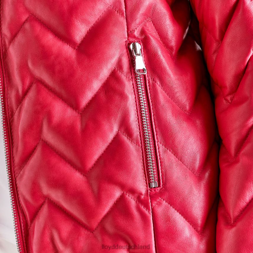 Kleidung LLOYD Enesa Rosa Frauen PV6Z01278