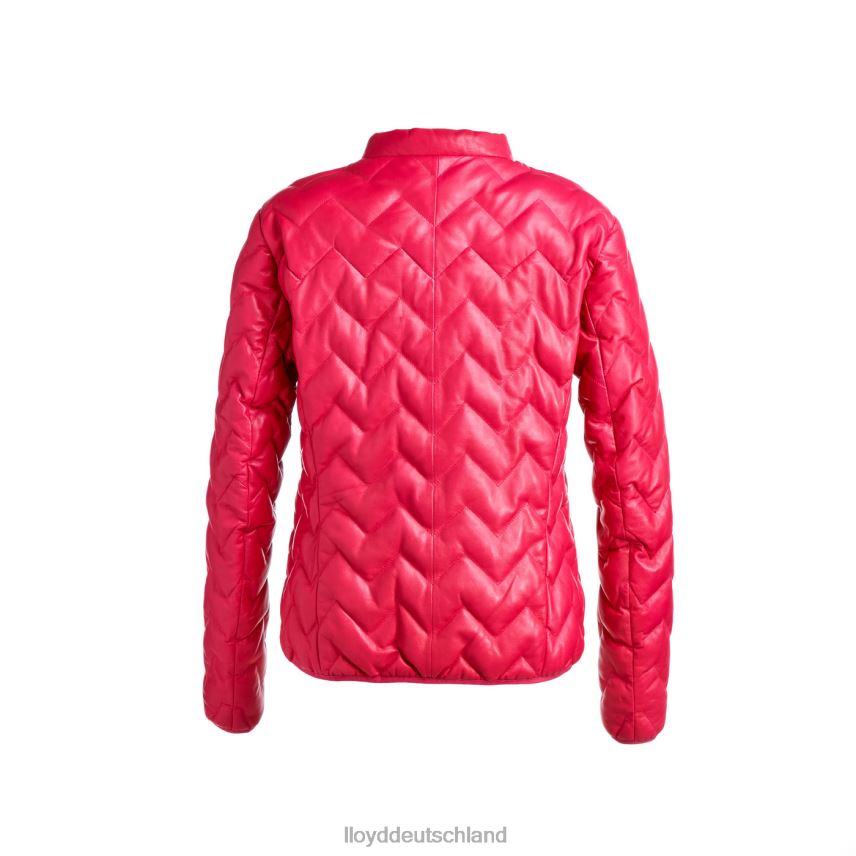 Kleidung LLOYD Enesa Rosa Frauen PV6Z01278