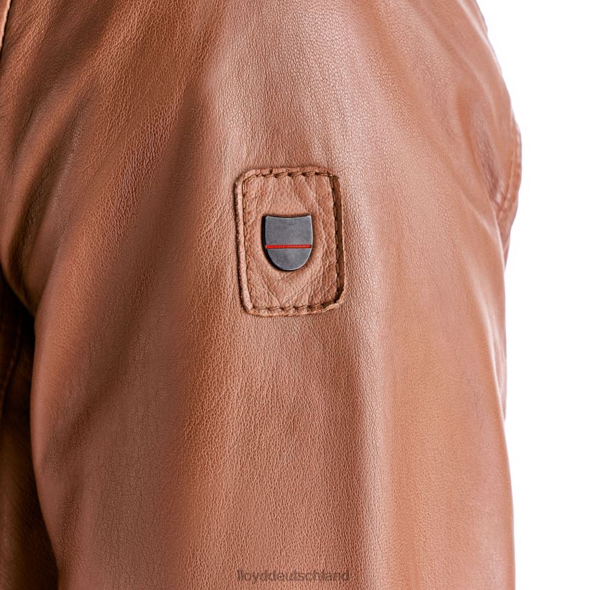 Kleidung LLOYD Marlon braun Männer PV6Z0630