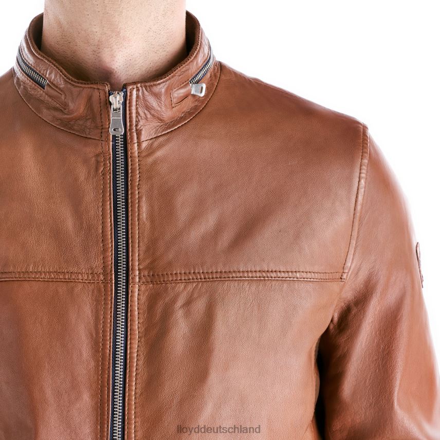 Kleidung LLOYD Marlon braun Männer PV6Z0630