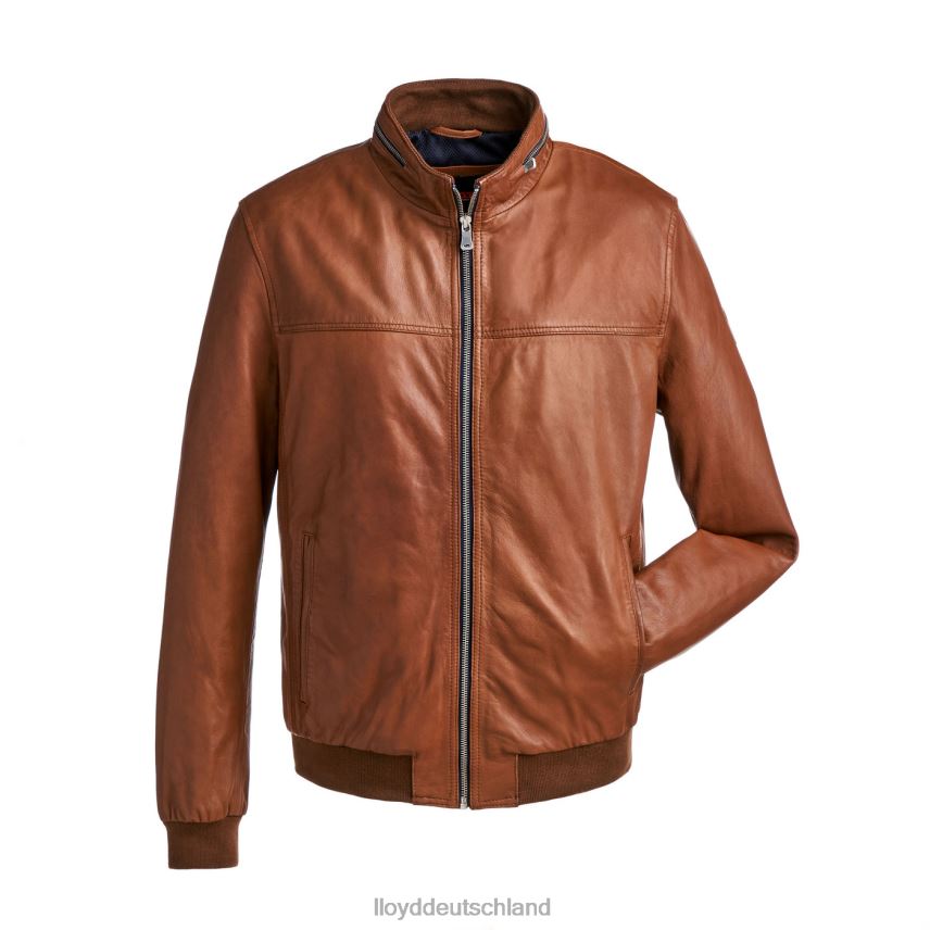 Kleidung LLOYD Marlon braun Männer PV6Z0630