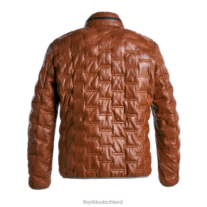 Kleidung LLOYD avery braun Männer PV6Z0647