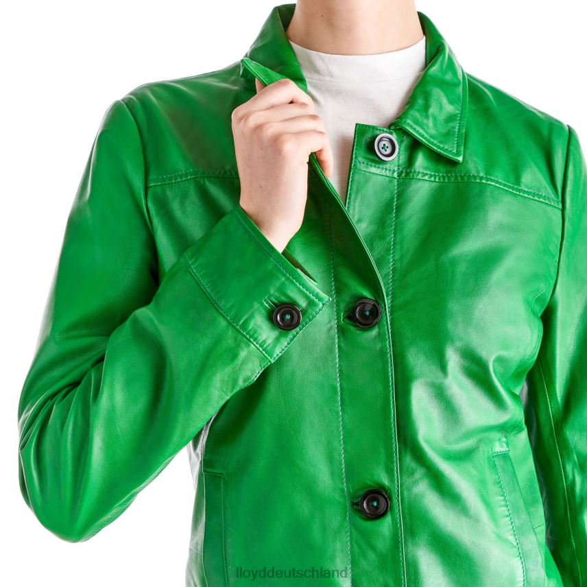 Kleidung LLOYD herve Grün Frauen PV6Z01276