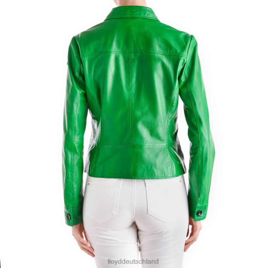 Kleidung LLOYD herve Grün Frauen PV6Z01276