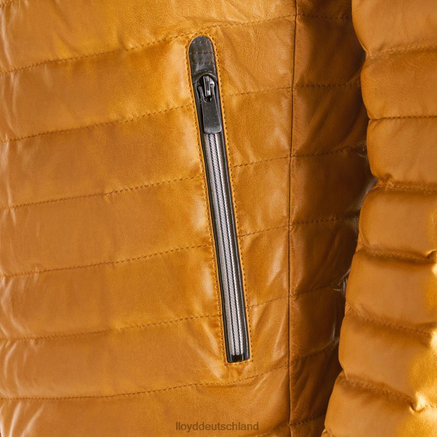 Kleidung LLOYD malio Gelb Männer PV6Z0635