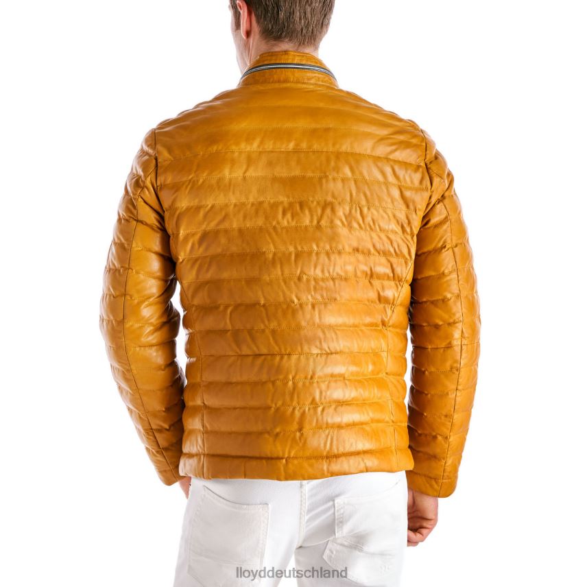 Kleidung LLOYD malio Gelb Männer PV6Z0635