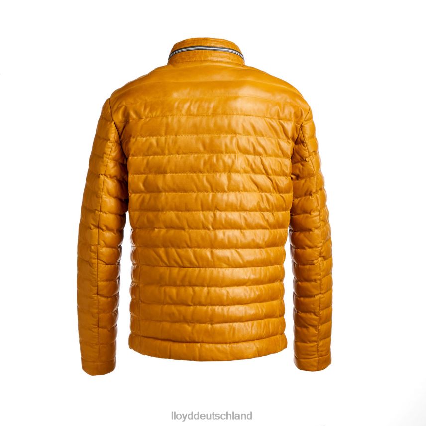 Kleidung LLOYD malio Gelb Männer PV6Z0635