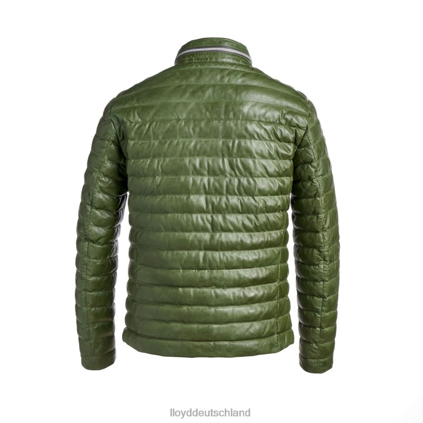 Kleidung LLOYD malio Grün Männer PV6Z0640