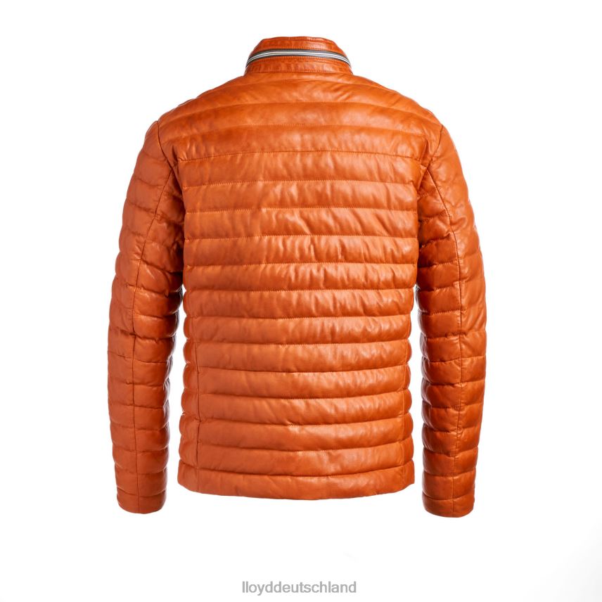 Kleidung LLOYD malio orange Männer PV6Z0639