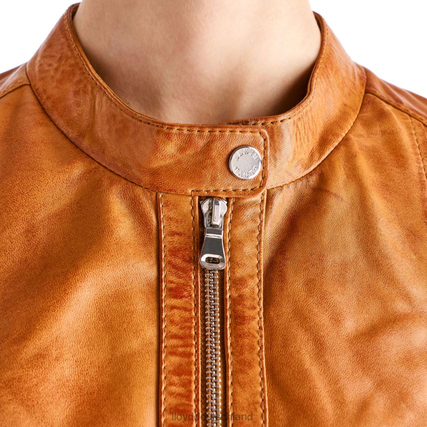 Kleidung LLOYD susen braun Frauen PV6Z01262