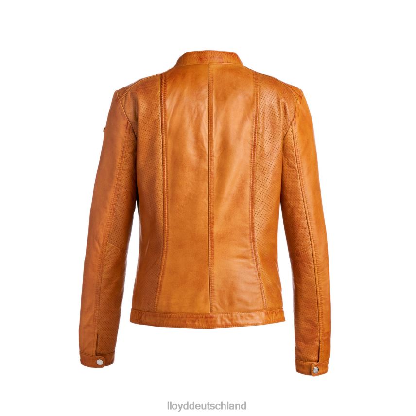 Kleidung LLOYD susen braun Frauen PV6Z01262