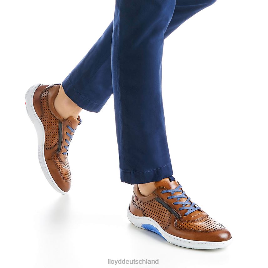 Schuhe LLOYD Abt braun Männer PV6Z0415