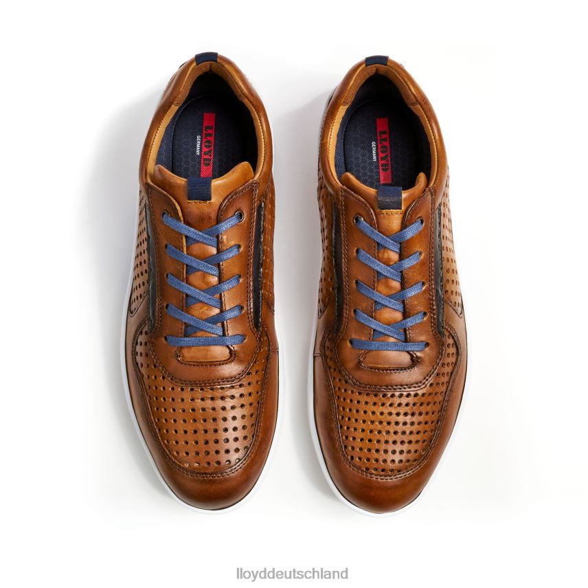 Schuhe LLOYD Abt braun Männer PV6Z0415