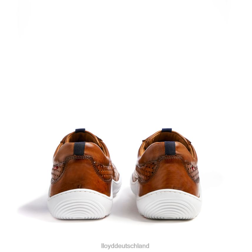 Schuhe LLOYD Abt braun Männer PV6Z0415