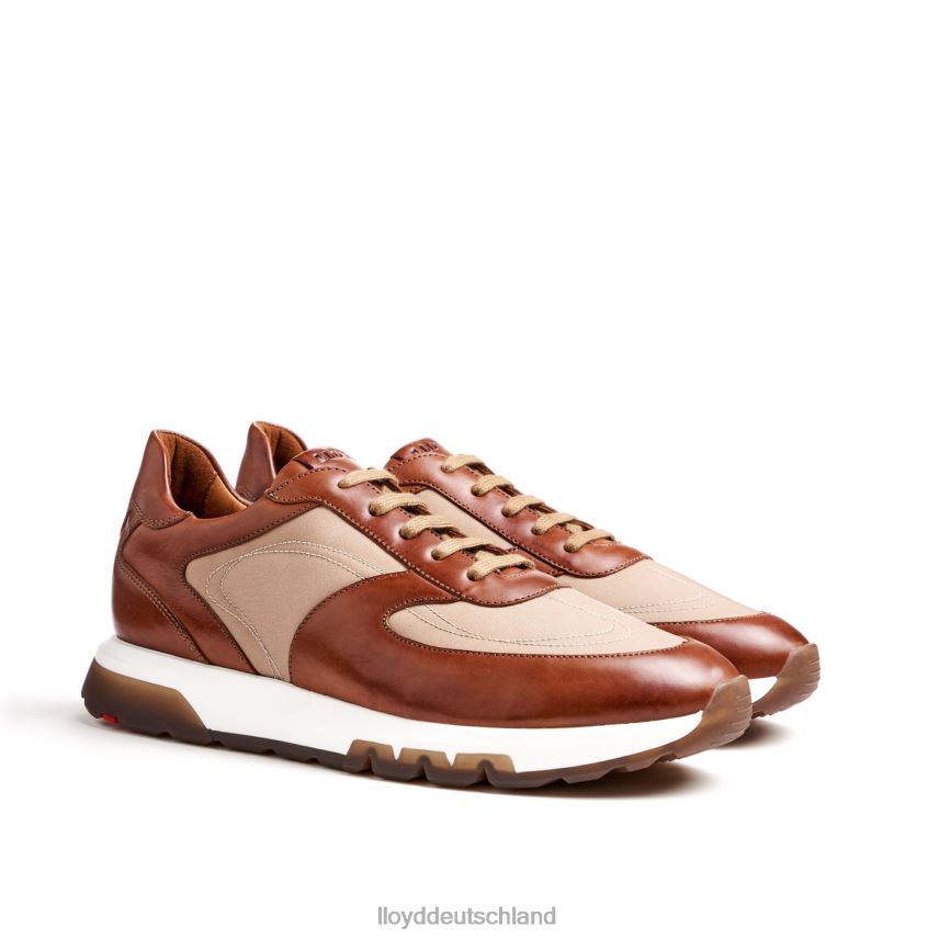Schuhe LLOYD Albanien braun Männer PV6Z01337