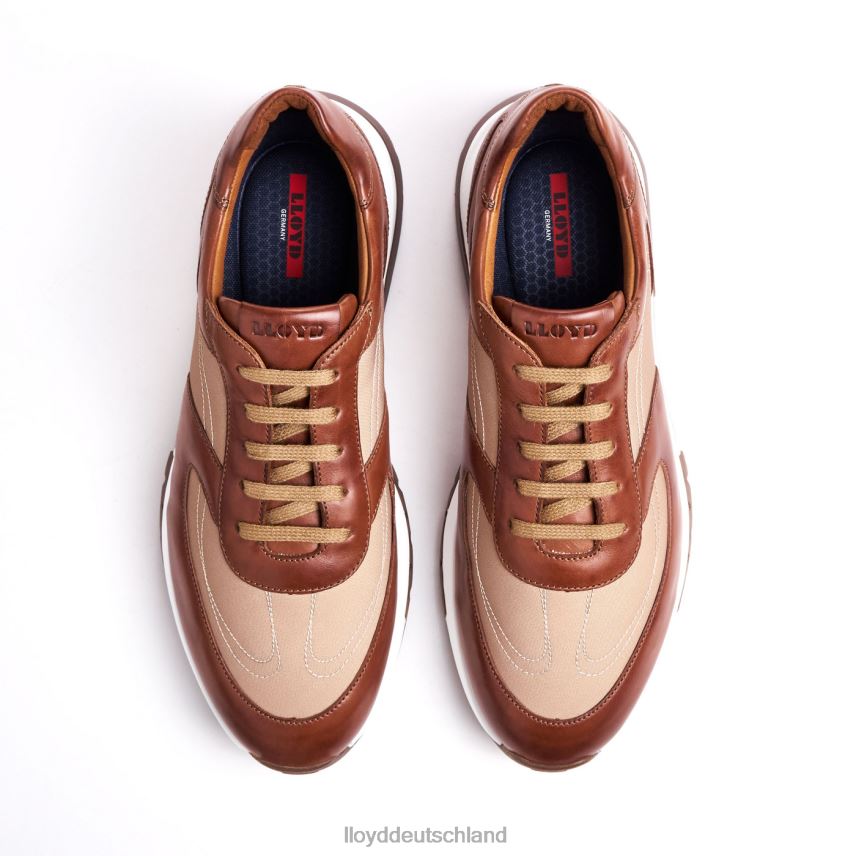 Schuhe LLOYD Albanien braun Männer PV6Z01337