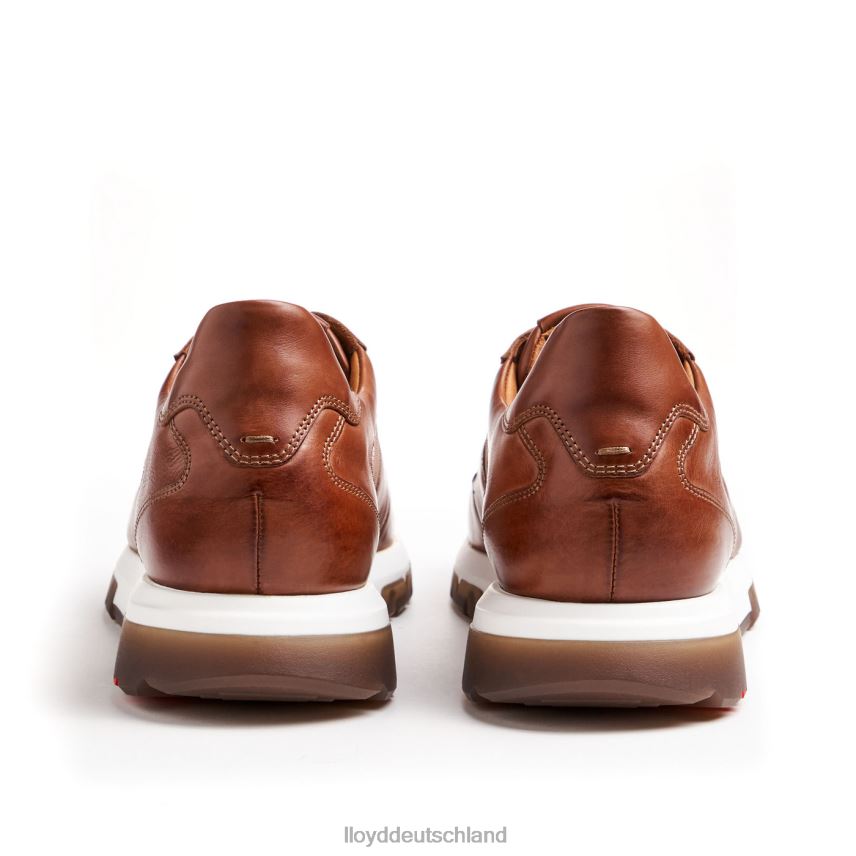 Schuhe LLOYD Albanien braun Männer PV6Z01337