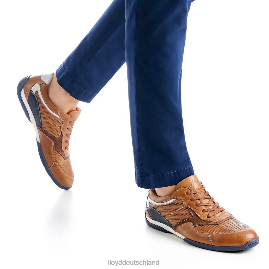 Schuhe LLOYD Baltimore braun Männer PV6Z0287