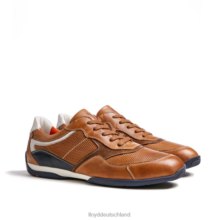 Schuhe LLOYD Baltimore braun Männer PV6Z0287