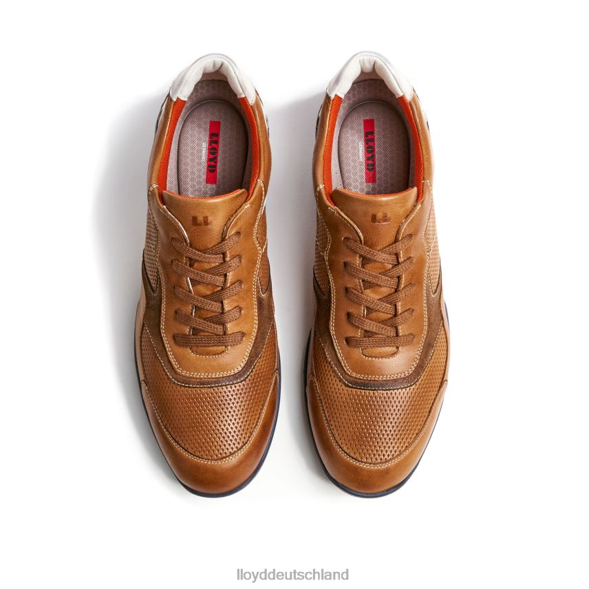 Schuhe LLOYD Baltimore braun Männer PV6Z0287