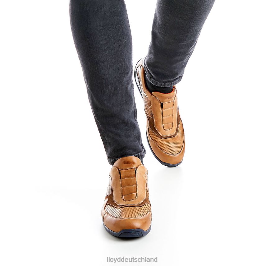 Schuhe LLOYD Banfield braun Männer PV6Z0347