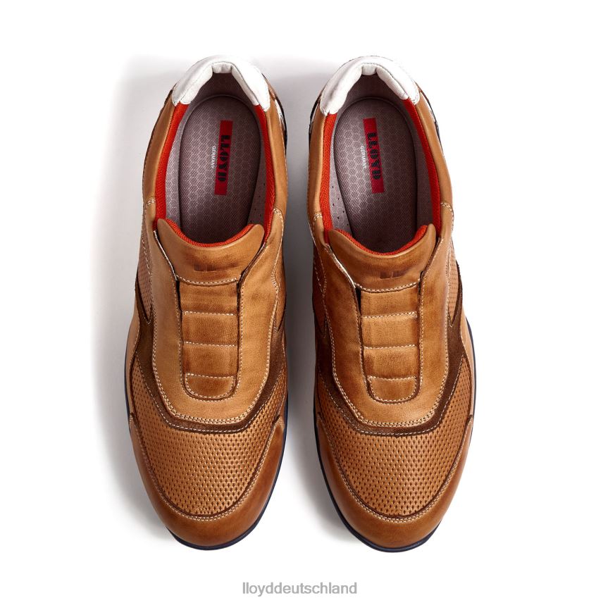 Schuhe LLOYD Banfield braun Männer PV6Z0347