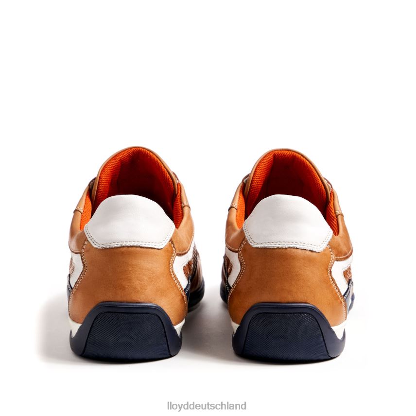 Schuhe LLOYD Banfield braun Männer PV6Z0347