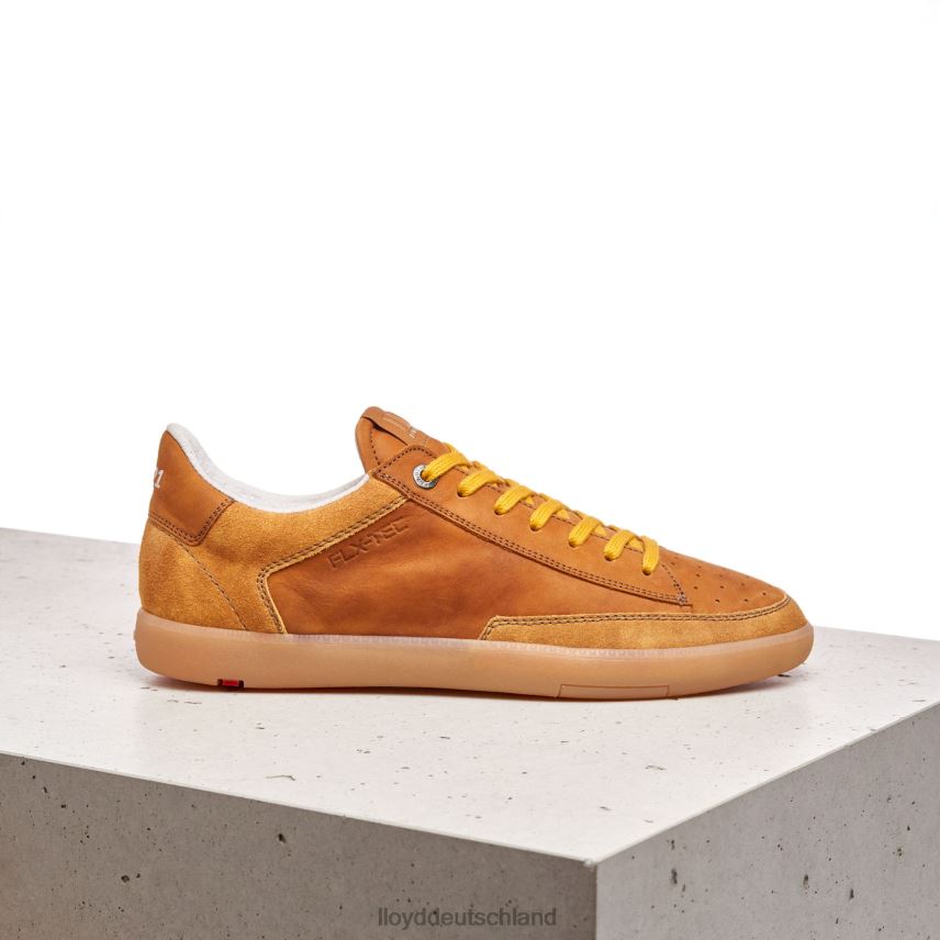 Schuhe LLOYD Baron braun Männer PV6Z0427