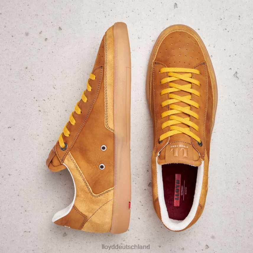 Schuhe LLOYD Baron braun Männer PV6Z0427