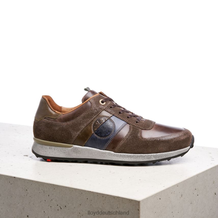 Schuhe LLOYD Bellingham braun Männer PV6Z0377