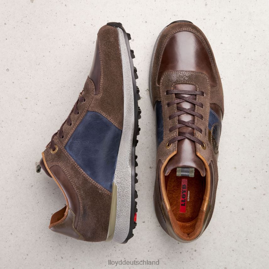 Schuhe LLOYD Bellingham braun Männer PV6Z0377