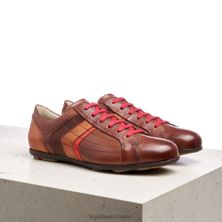 Schuhe LLOYD Benson braun Männer PV6Z0439