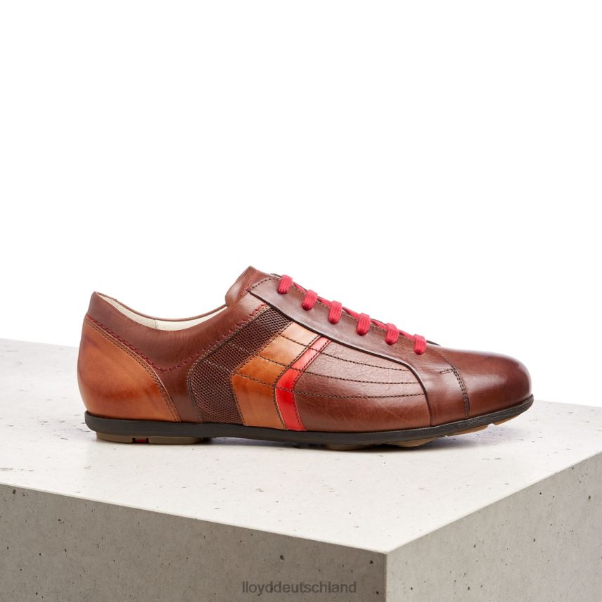 Schuhe LLOYD Benson braun Männer PV6Z0439