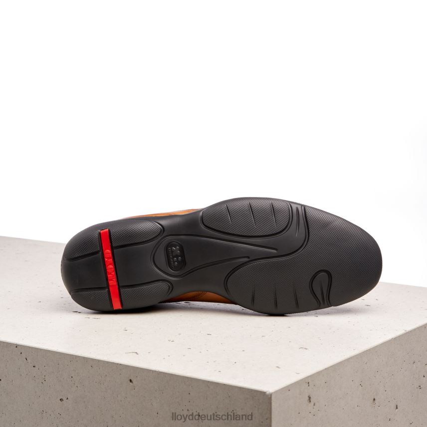 Schuhe LLOYD Bern braun Männer PV6Z0436