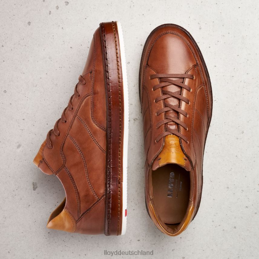 Schuhe LLOYD Blackburn braun Männer PV6Z0440