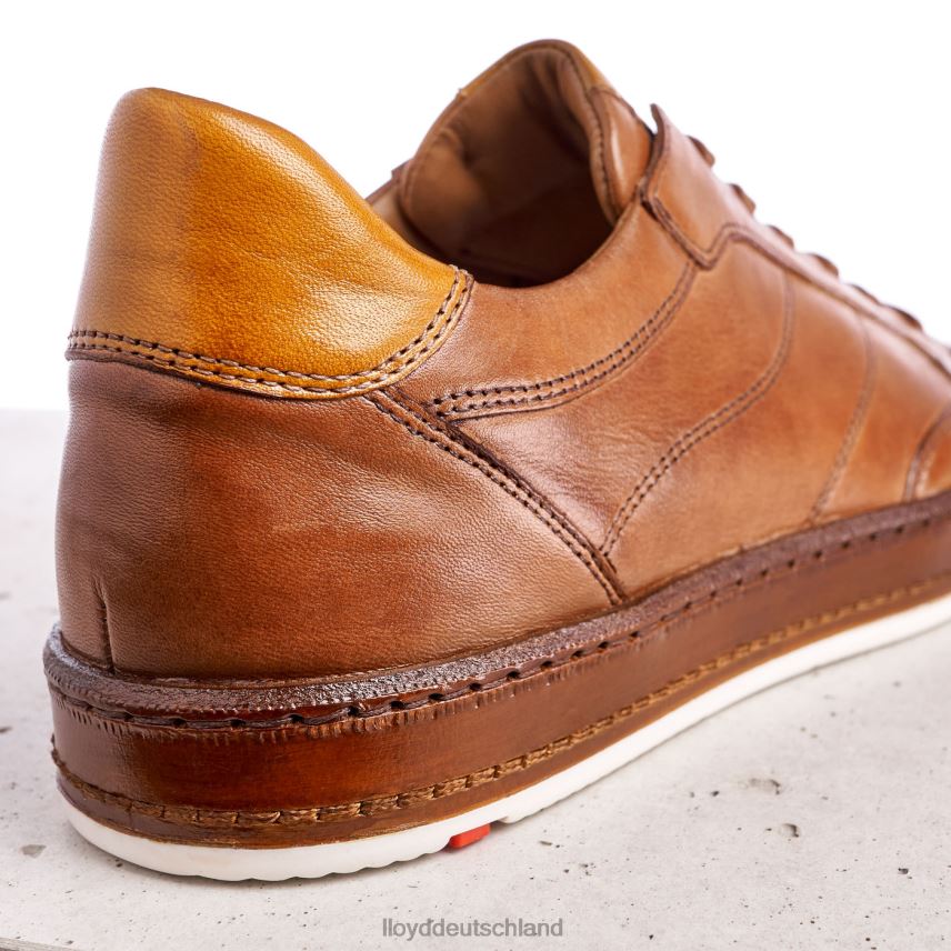 Schuhe LLOYD Blackburn braun Männer PV6Z0440