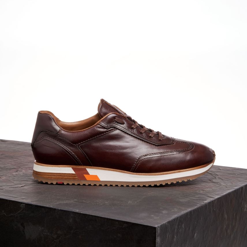 Schuhe LLOYD Blake braun Männer PV6Z0325