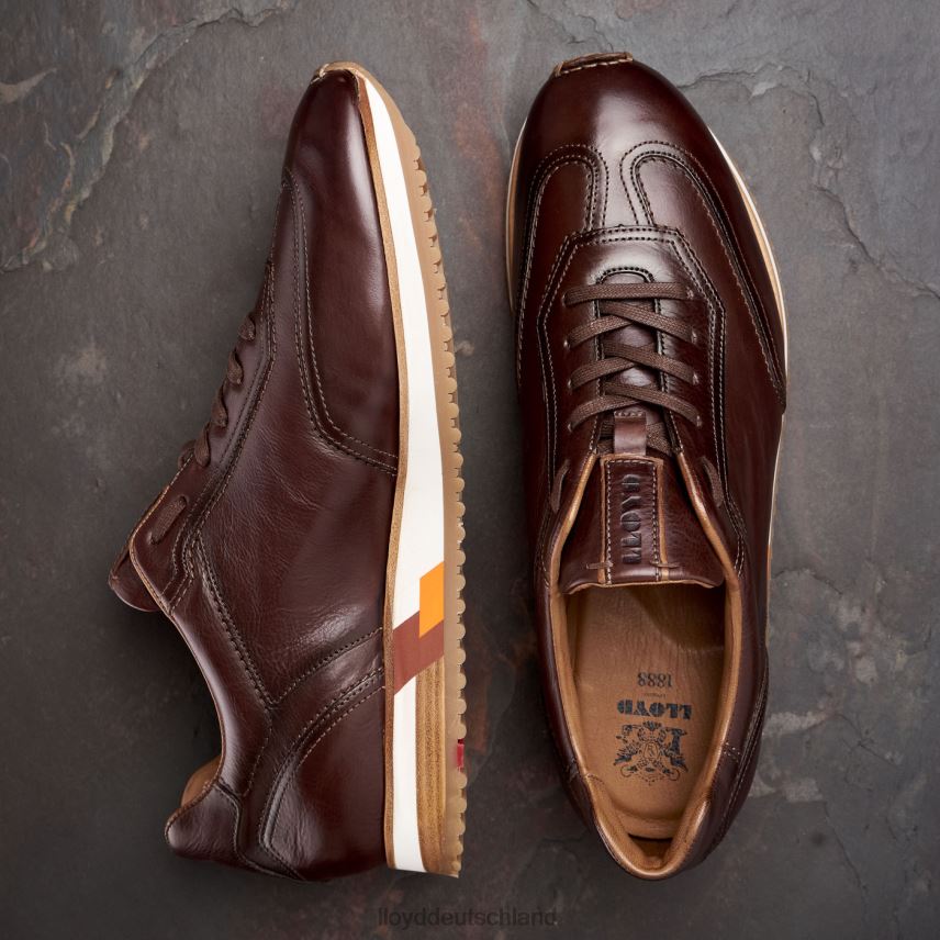 Schuhe LLOYD Blake braun Männer PV6Z0325