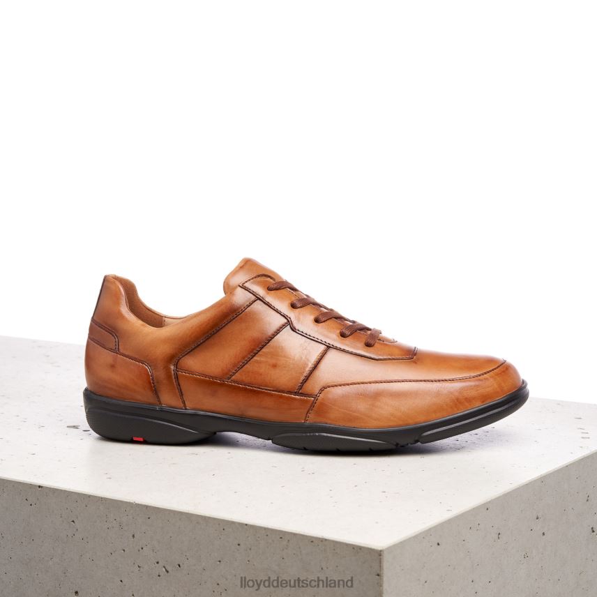 Schuhe LLOYD Bloy braun Männer PV6Z0375