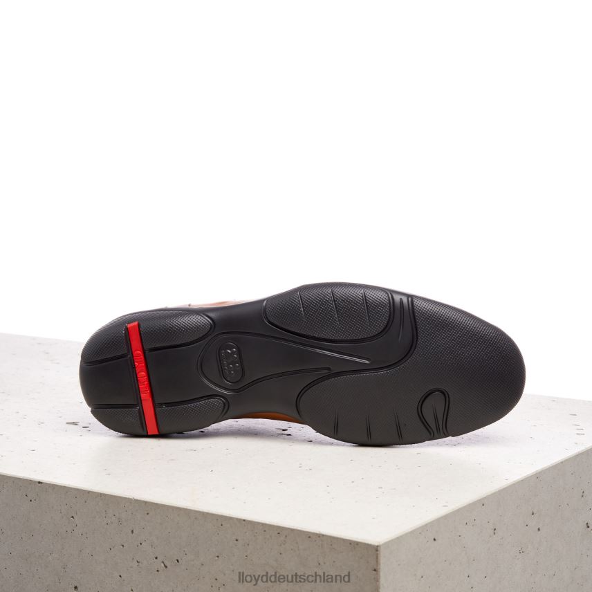 Schuhe LLOYD Bloy braun Männer PV6Z0375