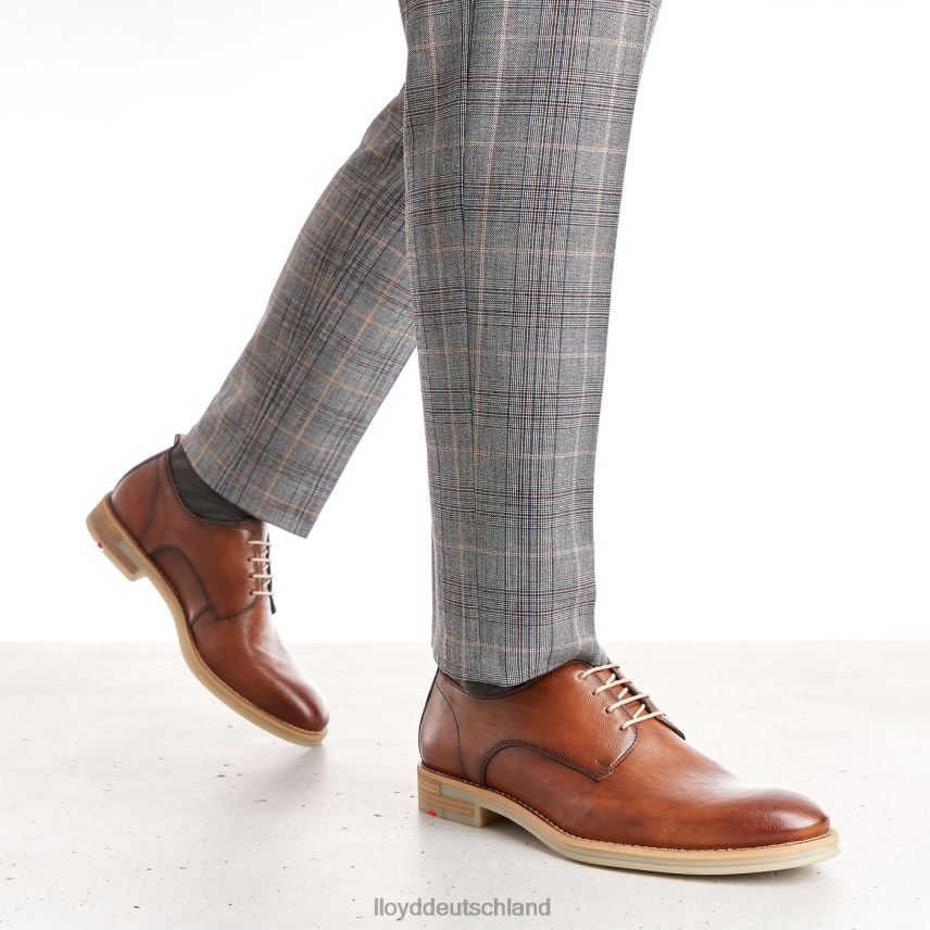Schuhe LLOYD Dakota braun Männer PV6Z0608