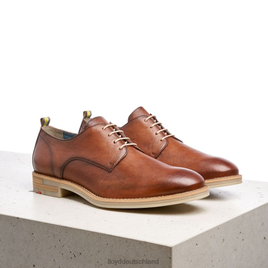 Schuhe LLOYD Dakota braun Männer PV6Z0608