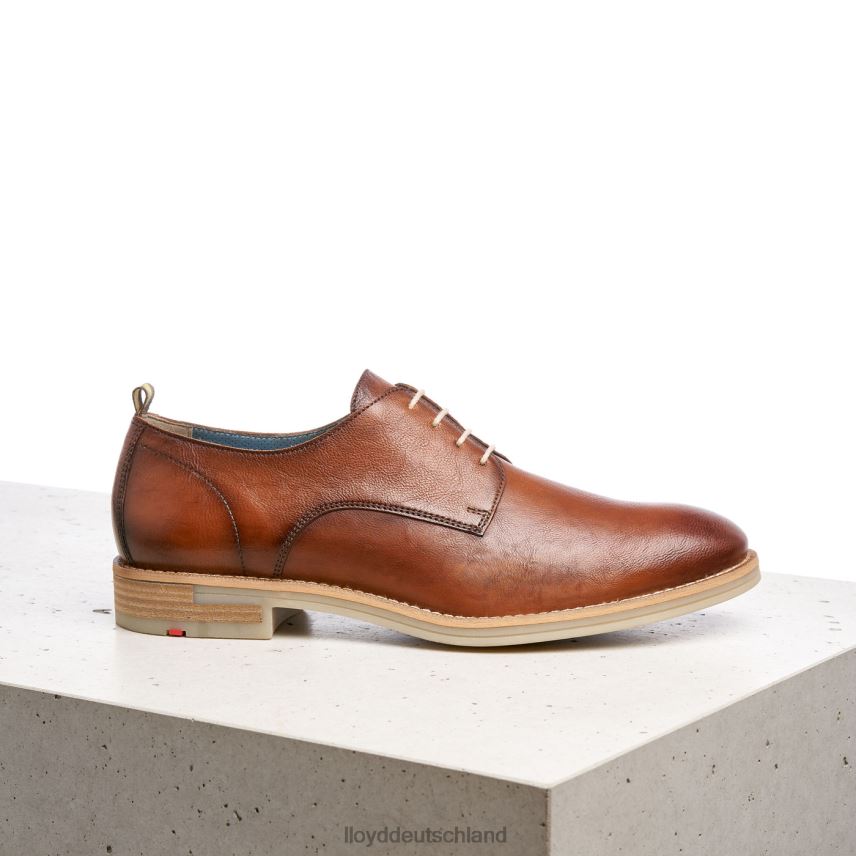 Schuhe LLOYD Dakota braun Männer PV6Z0608