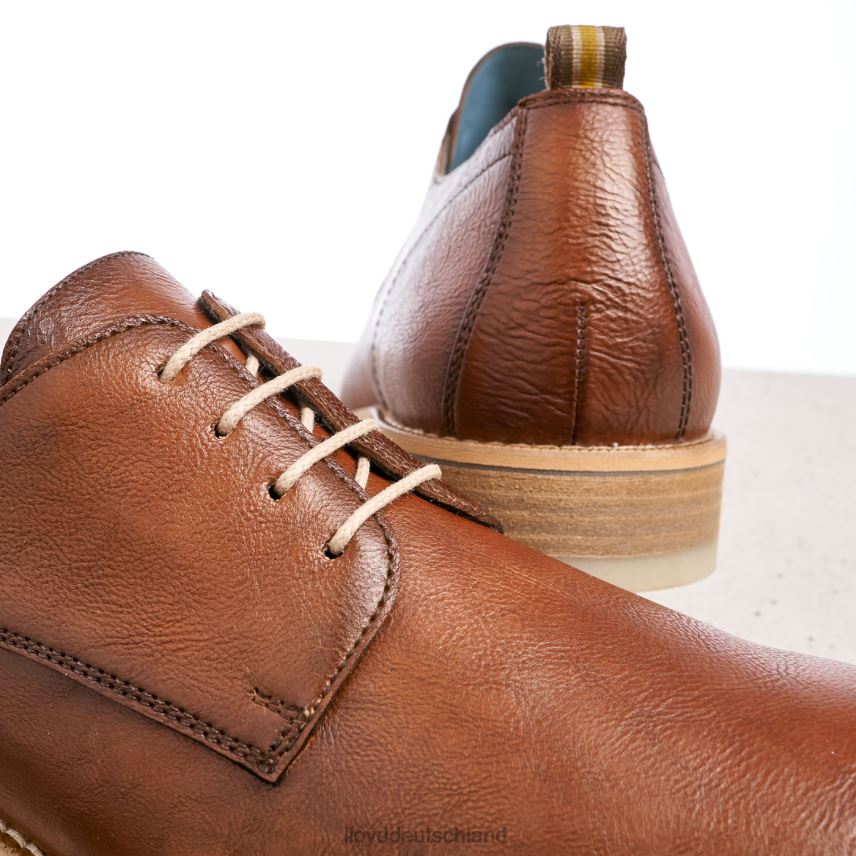 Schuhe LLOYD Dakota braun Männer PV6Z0608