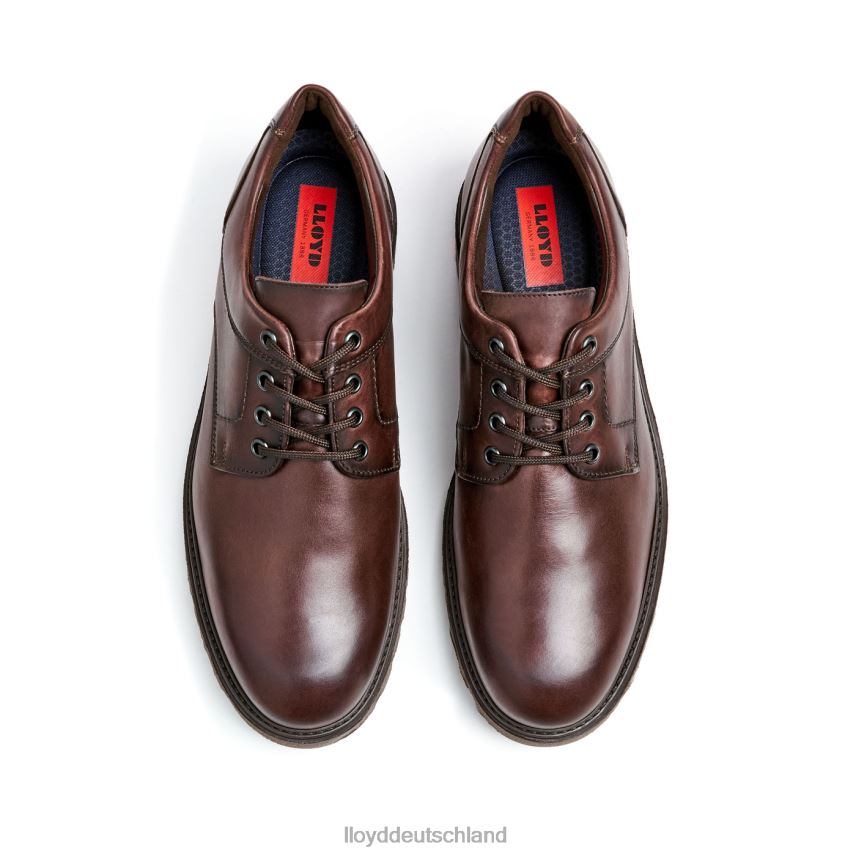 Schuhe LLOYD Dalton braun Männer PV6Z039