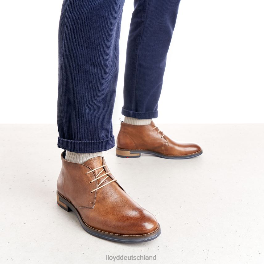 Schuhe LLOYD Daniel braun Männer PV6Z0549