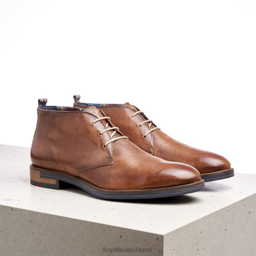 Schuhe LLOYD Daniel braun Männer PV6Z0549